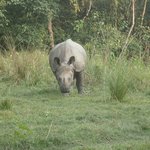 Photo taken by Katherine J