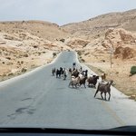 Photo taken by Beata p