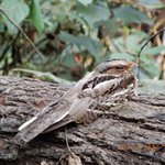 Photo taken by Wayne D