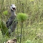 Photo taken by Michael L