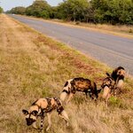 Photo taken by Kaye D