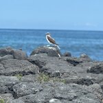 Photo taken by Thomas L