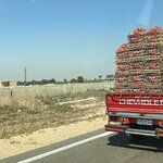 Photo taken by Maryann S