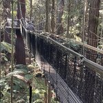 Photo taken by Walt N