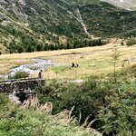 Photo taken by Irwin M