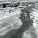 Photo taken by Sharnise H