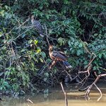 Photo taken by Ciarra N