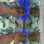 Photo taken by Kathleen L