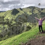 Wax Palms -- Salento | Photo taken by Rachel B