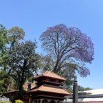 Photo taken by Jean A