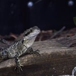 Photo taken by Linnaea M