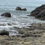 Photo taken by Ora Y