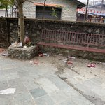 Photo taken by Wayne D