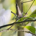 Photo taken by Blair H