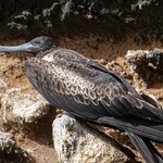 Photo taken by mindy n