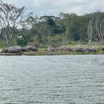 Photo taken by Nicole B