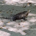 Manuel Antonio National Park  | Photo taken by Marilyn L
