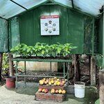 Photo taken by Lauren A