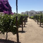 Photo taken by Rebecca E