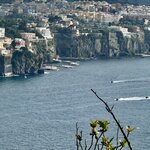 Photo taken by Elysa D