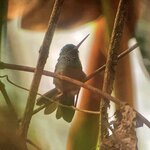 Photo taken by Mathew S