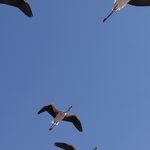 Photo taken by Mariellen S