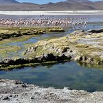 Photo taken by Mai S