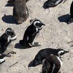 Photo taken by Martin D