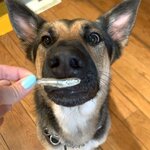 Photo taken by Debbie W