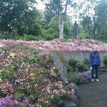 Photo taken by Denise H