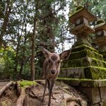 Photo taken by Jessica R