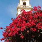 Photo taken by Jenny P