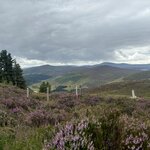 Photo taken by Nicki S