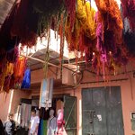 Photo taken by Diana A