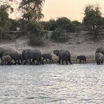 Photo taken by Janie W