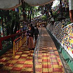 Photo taken by carole c