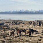 Photo taken by Jessica A