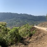 Photo taken by Cindy R