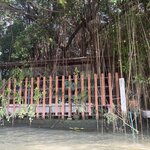 Photo taken by Anne M