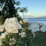 Photo taken by Donna R