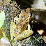 Photo taken by Ben B