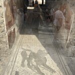 Photo taken by Stephanie K