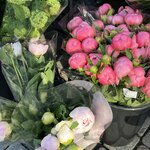 Photo taken by Andrea Y