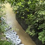 Photo taken by Nancy P