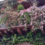 Photo taken by Michael T