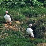 Photo taken by Scott C