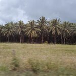 Photo taken by Steven P