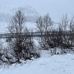 Photo taken by Dawn K