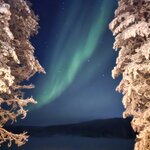 Photo taken by Anna P