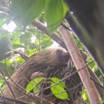 Photo taken by Darla D